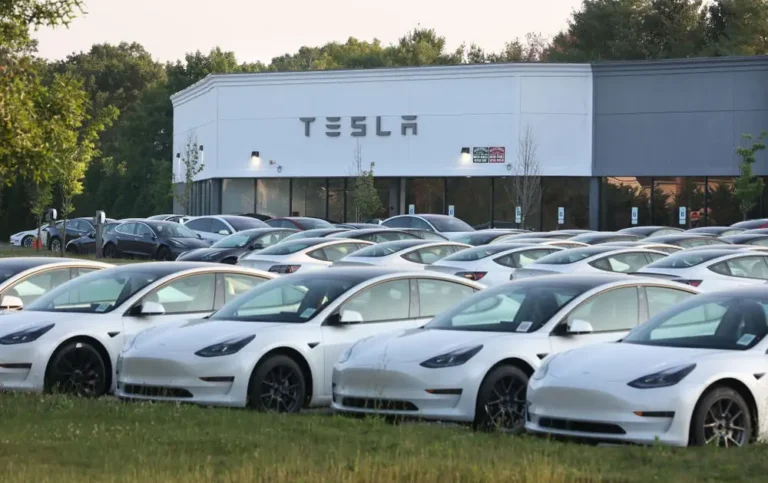 Californians are buying fewer Teslas. That could be a bad sign for Elon Musk.