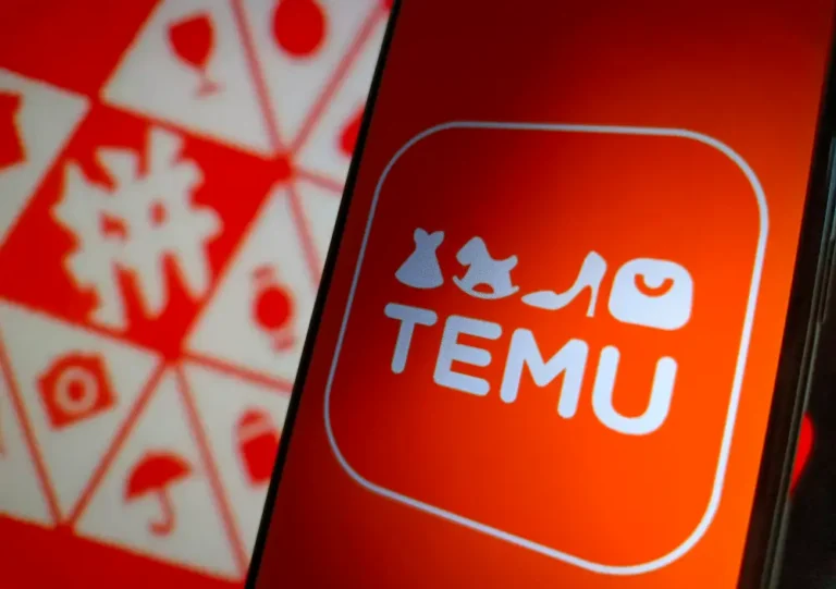 Temu’s parent company’s stock tanked on a major warning sign from the cheap e-commerce brand