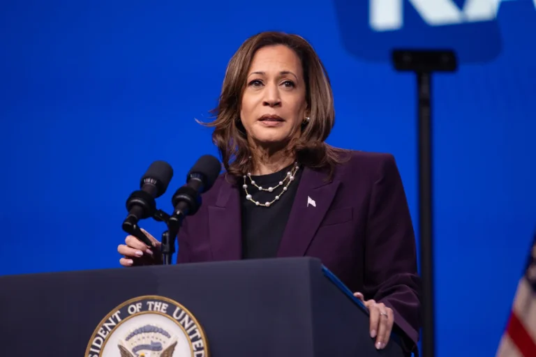 Democrats hope the DNC extends Harris’ winning streak, but mass Israel protests could ruin the vibes