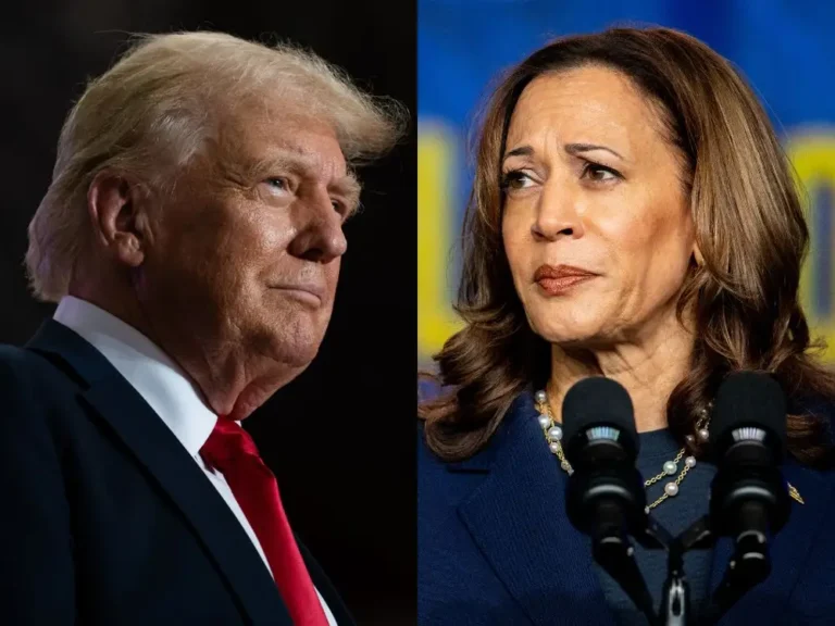 A key Obama-era strategist says Kamala Harris may be riding the hype wave, but it’s still Trump’s race to lose