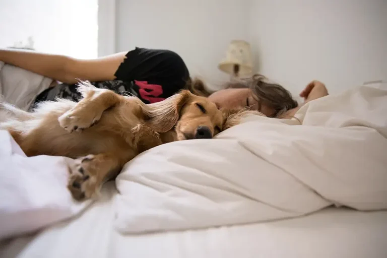 Co-sleeping with your pet can be good for your bond but not for you. Here’s when you might need a sleep divorce.