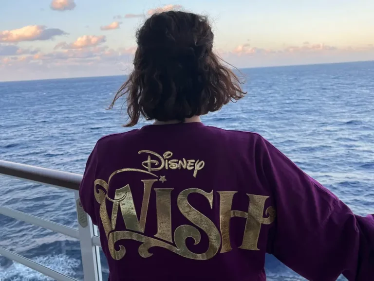 My family went on a $6,000 Disney World vacation and a $5,900 Disney Cruise. The latter was a much better deal.