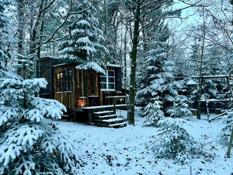 Sick of the grind, he ditched the city to live in a tiny house in the woods. Now, he estimates he gets by on $750 a month.