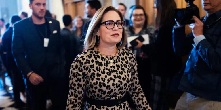 Kyrsten Sinema says she’s ‘fairly libertarian’ and wants to work in the private sector after leaving the Senate: ‘That’s where the money comes from’