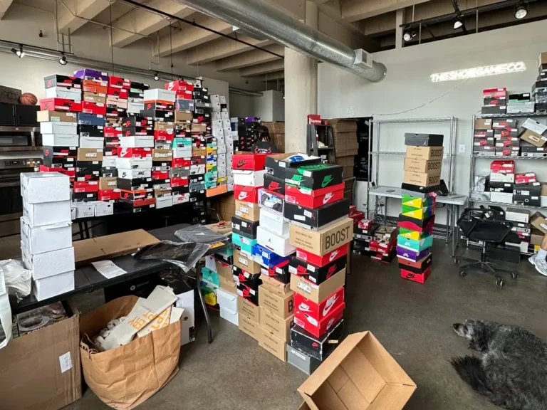 Entrepreneurs who bring in millions flipping clothes and sneakers explain how they find profitable products, including ‘home run items’