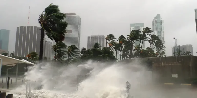 Traders are betting Hurricane Milton will knock out electricity and leave power plants idling