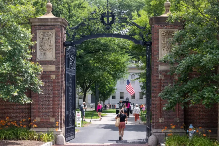 Harvard donations dropped nearly 15% amid wealthy alums’ vows to cut off support