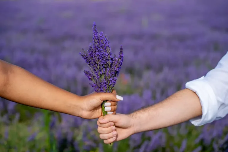 For Gen Zers tired of dating, applications for lavender marriages are open