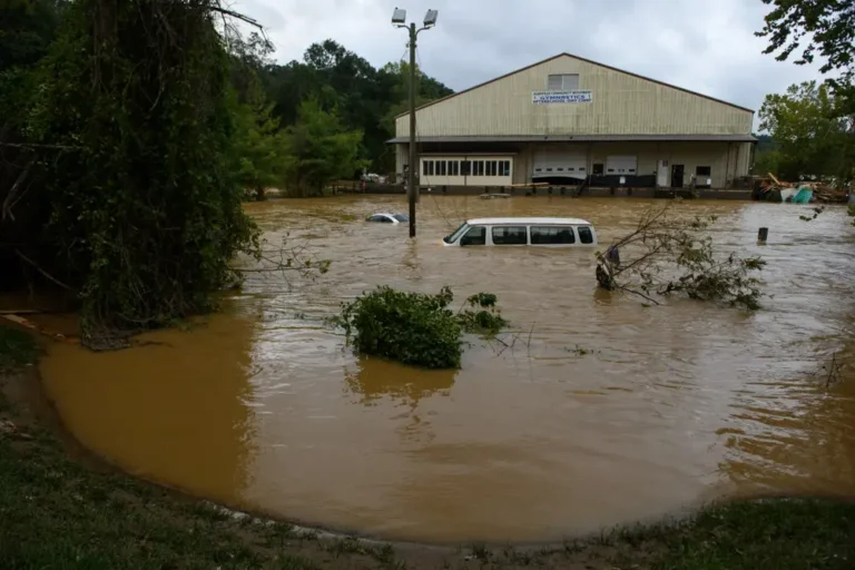 Hurricanes are taking the election by storm. Here’s where Harris and Trump stand on natural disaster policies.