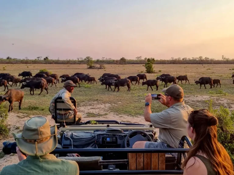 More wealthy travelers are going on luxury safaris — some for more than $2,500 a day