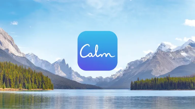 The Calm app bought ad blocks on CNN and ABC on election night to give viewers ’30 seconds of silence’