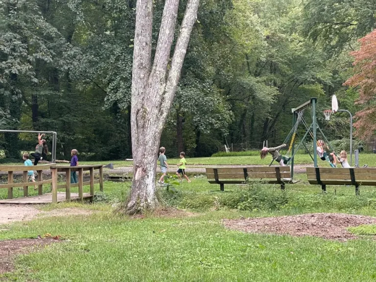 I set up a free-range playdate for kids in our area. Parents take turns watching the group, and we don’t hover over them as they play.