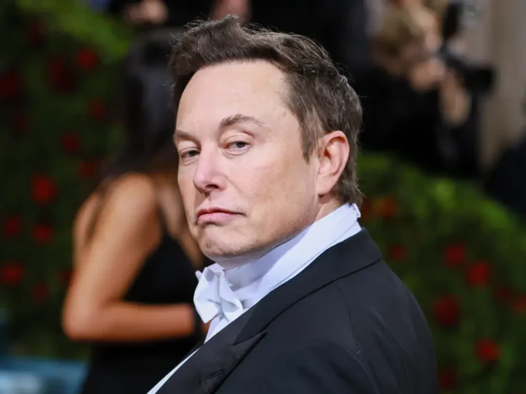 A brief history of Elon Musk’s pets, including a ‘nasty’ Yorkshire Terrier, a cat — and a hedgehog too