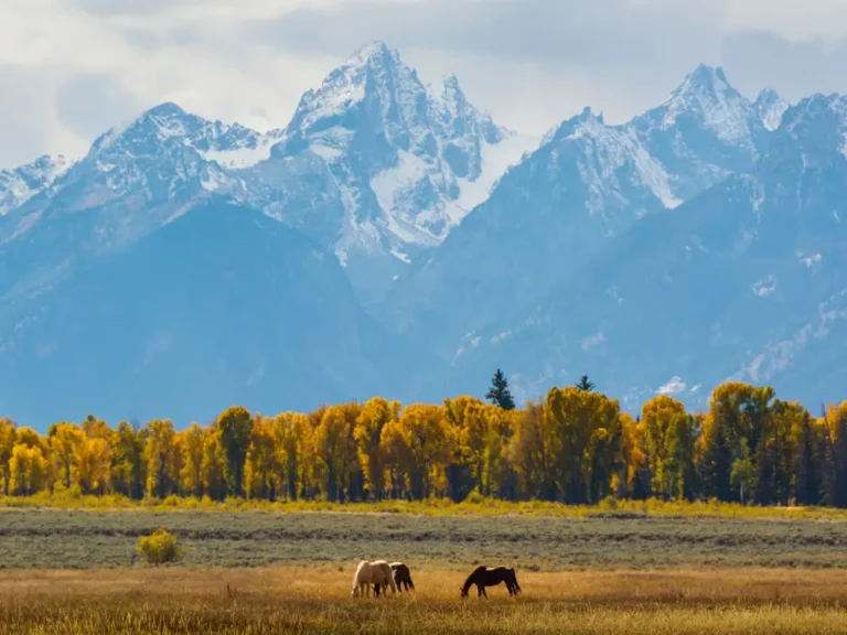 I’ve been to all 63 major US national parks. Here are the 3 I love going back to and the 3 I’m glad I saw once.