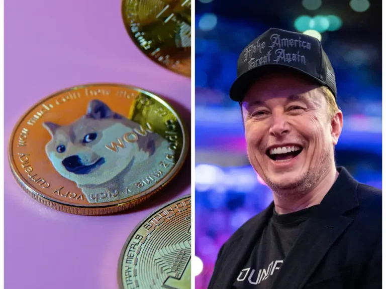 The ‘Doge’ dog meme that Elon Musk loves, explained in 1 minute