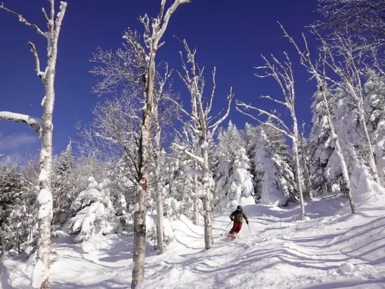 I’ve been skiing for decades, but my wife hates it. We have to get a little creative on our winter vacations.