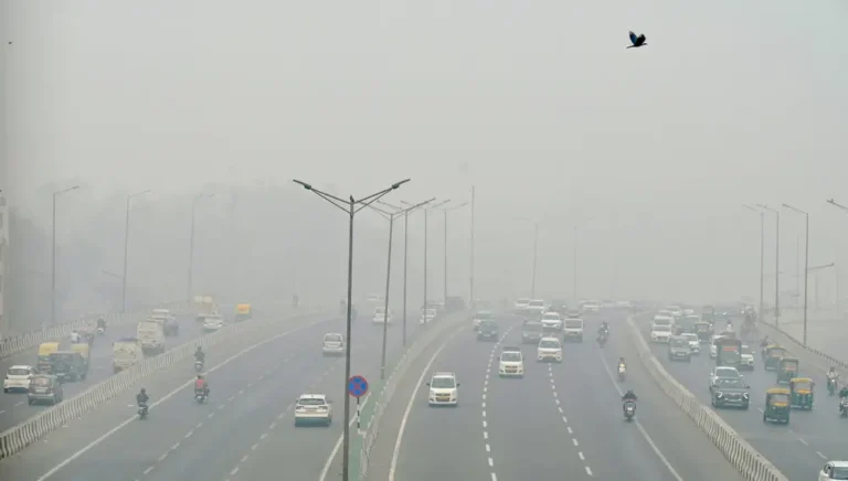 Delhi’s 15 times higher than safe toxic smog levels is disrupting lives, says consulting CEO