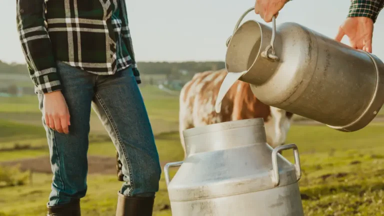 Another batch of raw milk from a trendy California brand just tested positive for bird flu