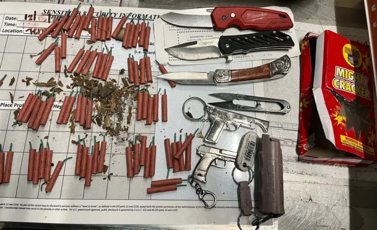 TSA officer ‘shocked’ to find multiple prohibited items in a woman’s bag at LAX, including fireworks, knives, and replica firearms