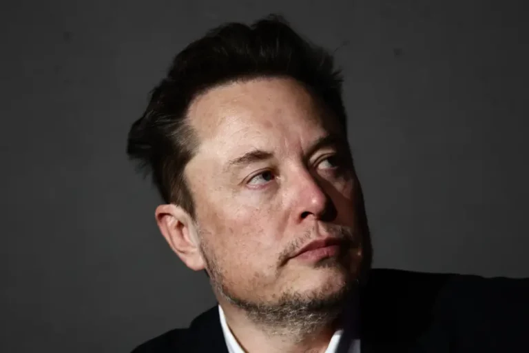 Elon Musk sparks backlash in Germany after calling the chancellor an ‘incompetent fool’ and backing the far-right AfD party