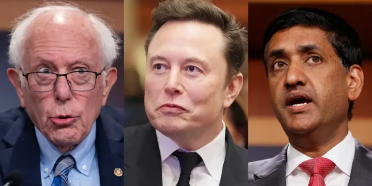 The Democrats who aren’t writing off Elon Musk’s DOGE