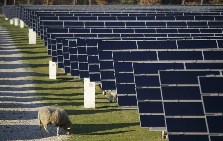 German power prices turn negative as supply outpaces demand amid expansion in renewables