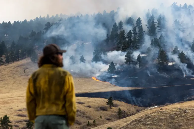 My family survived the Marshall fire in Colorado. Here’s what people in Los Angeles can expect in the days and weeks to come.