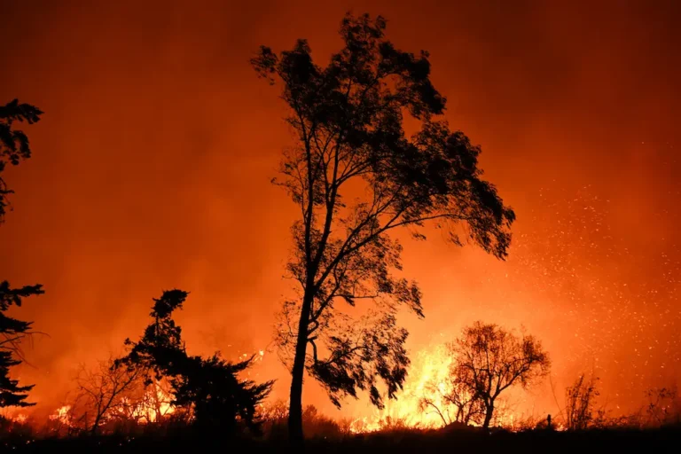 LA fires: High winds expected to worsen blazes as new, smaller fire springs up