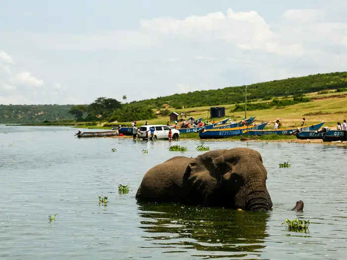 I went on a safari cruise in East Africa, and it was an unexpected highlight of my 3-week trip