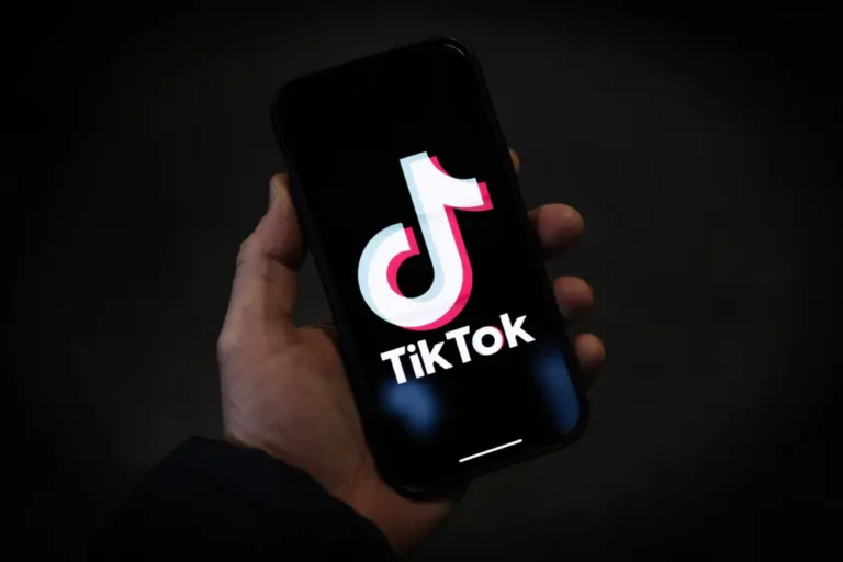 AppLovin has made a last-minute bid to buy TikTok’s assets outside China