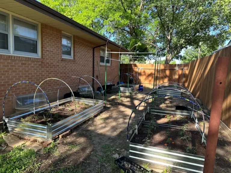 Where trad wives and the vibecession intersect: growing a victory garden to save money