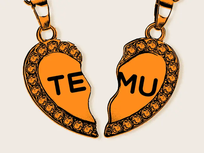 I got my last shipment from Temu — with no extra fees. Am I going to have to pay more in the future?