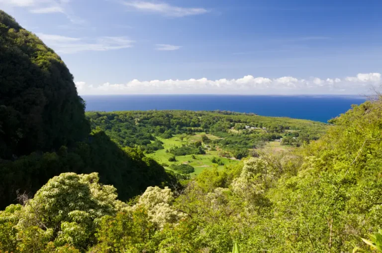 I was born and raised on Maui. Here are 5 of the best things for visitors to do on the island — and 5 they should skip.