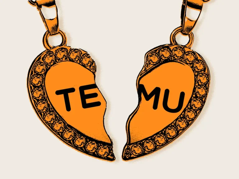 My Temu order safely arrived — with no extra tariff fees. But you might not be so lucky.