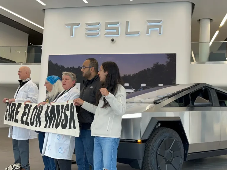 Protesters are taking a victory lap after Tesla’s dismal earnings — and taking aim at Musk’s other companies
