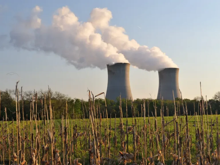 Nuclear power is having a renaissance. Here’s what consultants say about the industry’s future.