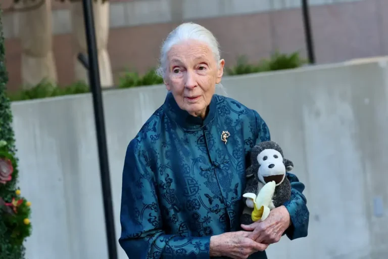 Jane Goodall, 91, on being objectified early in her career: ‘If my legs were getting me the money, thank you legs’