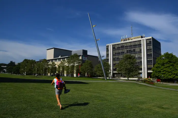 AI courses are becoming increasingly popular — even among nurses and teachers