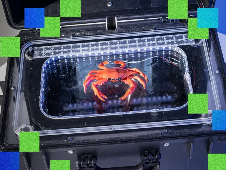 An AI ‘deckhand’ could make crab fishing less labor-intensive