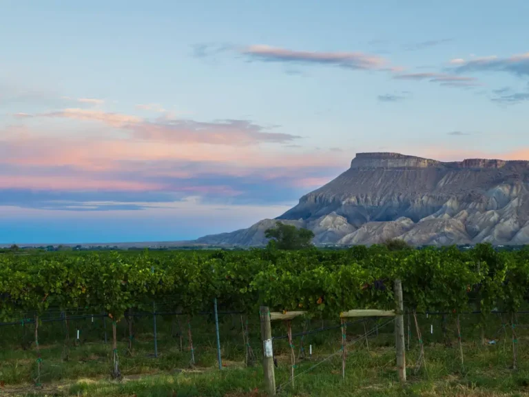 I’ve lived in Colorado for 4 years and explored over a dozen small towns. My favorite hidden gem involves wine, camping, and gorgeous hiking.